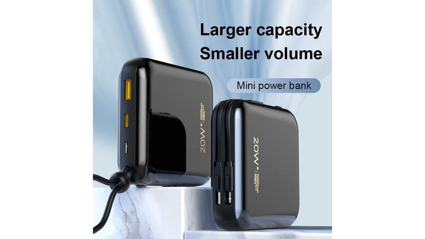 best price carry bag supplier company | iFlowPower 6