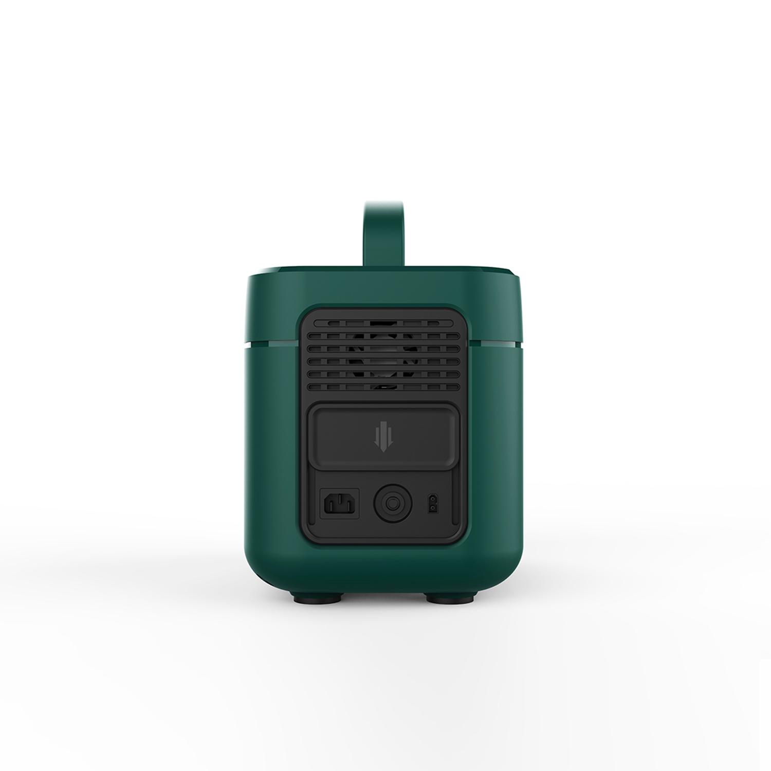 iFlowPower nešiojama elektrinė 1200 W pagal JAV standartą 9