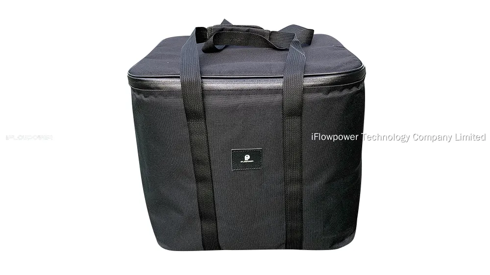 top selling personalized carry bags made in china | iFlowPower 1